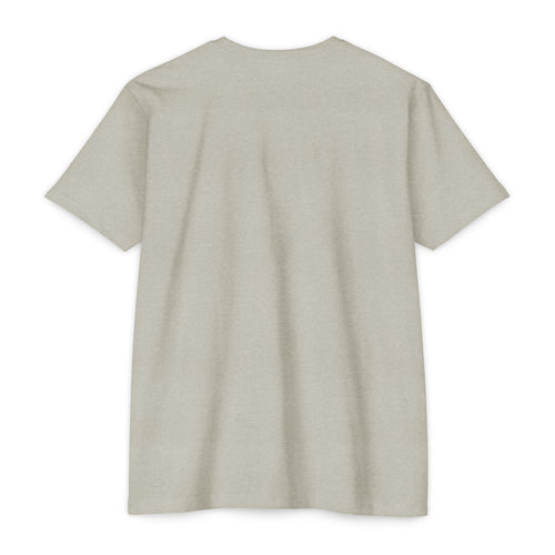 "Airmail That Shit" Cornhole Shirt (Grey)